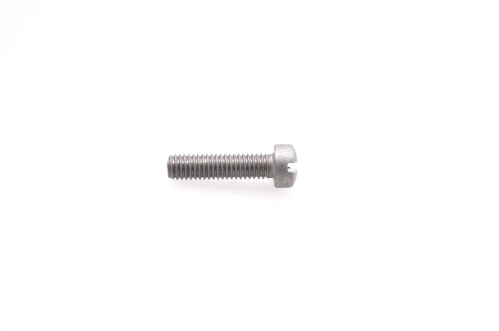OMC 312491 Screw NOS