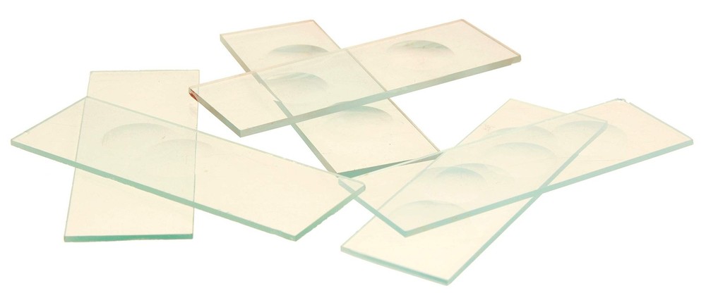 Eisco Labs Microscope Slides, with Double Concavity, Pack of 10