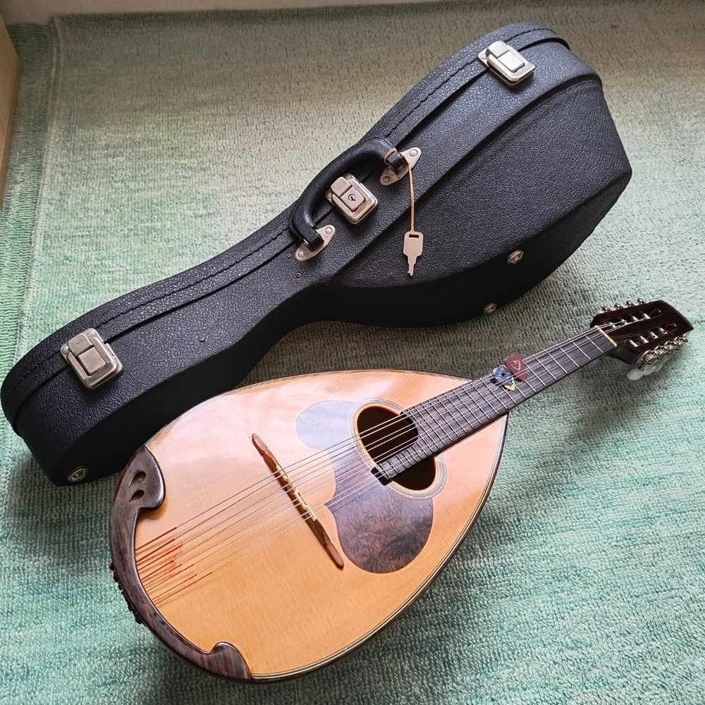 Mandolin M-30
