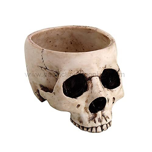 Skeleton Skull Medium Kitchen Bowl Figurine