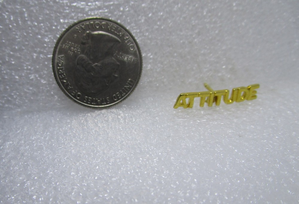 Attitude Gold Tone Pin