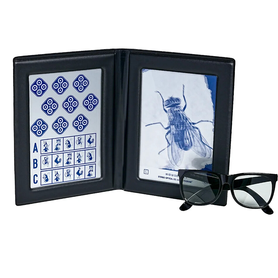 Stereoscopic flying insect vision test for fine depth perception