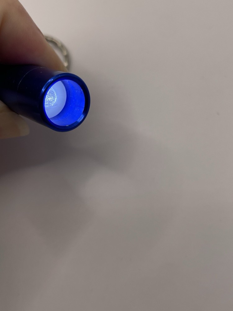 led light/whistle/compass on key ring- Blue/Silver