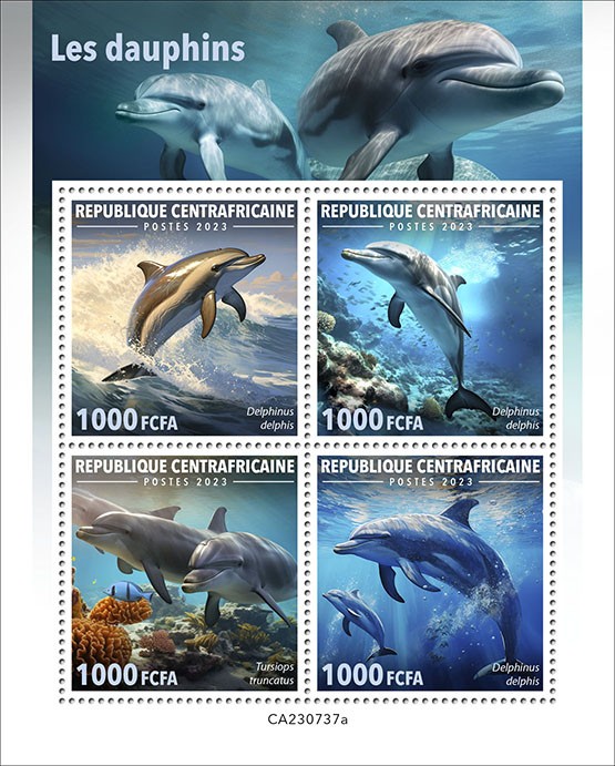 Dolphins