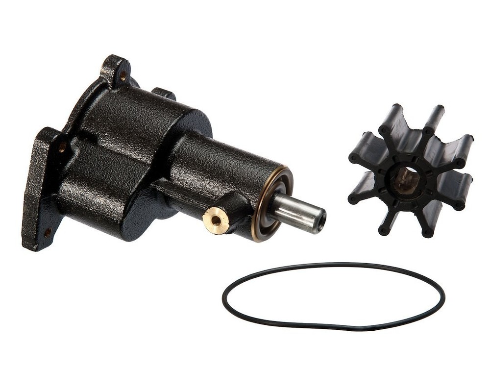FUEL INJECTOR CLEANER