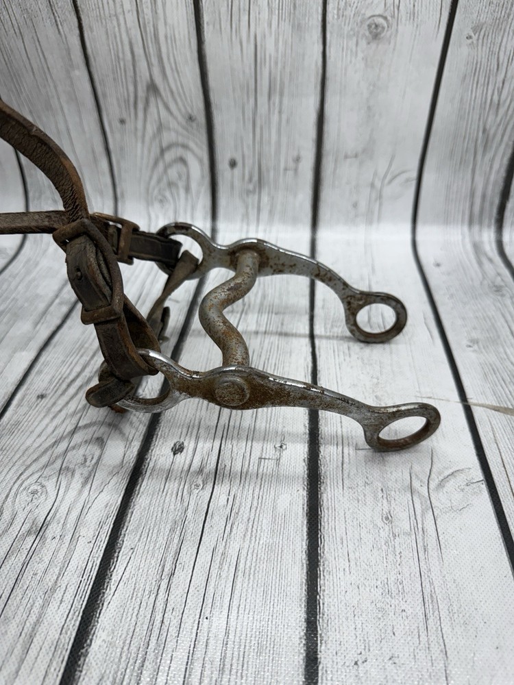 Vintage House Mouth Bit