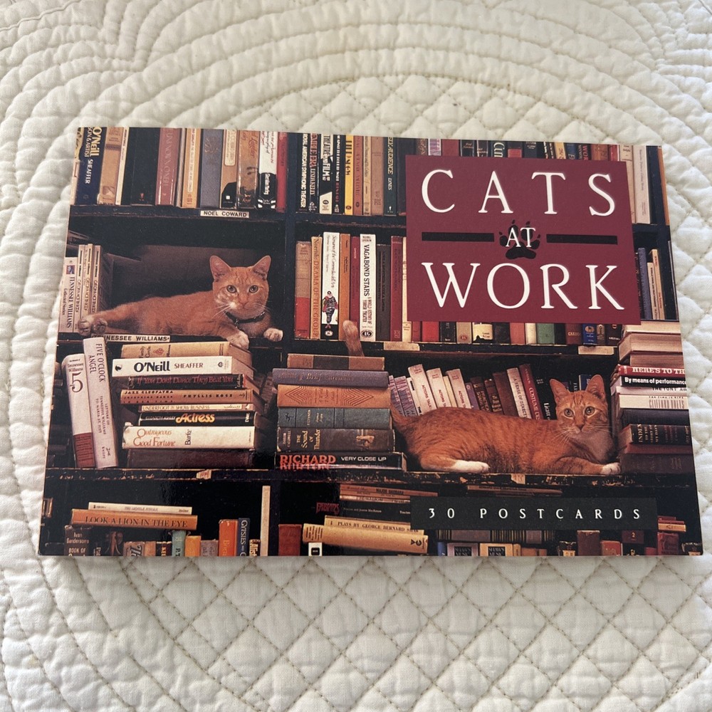 Cats At Work 1992