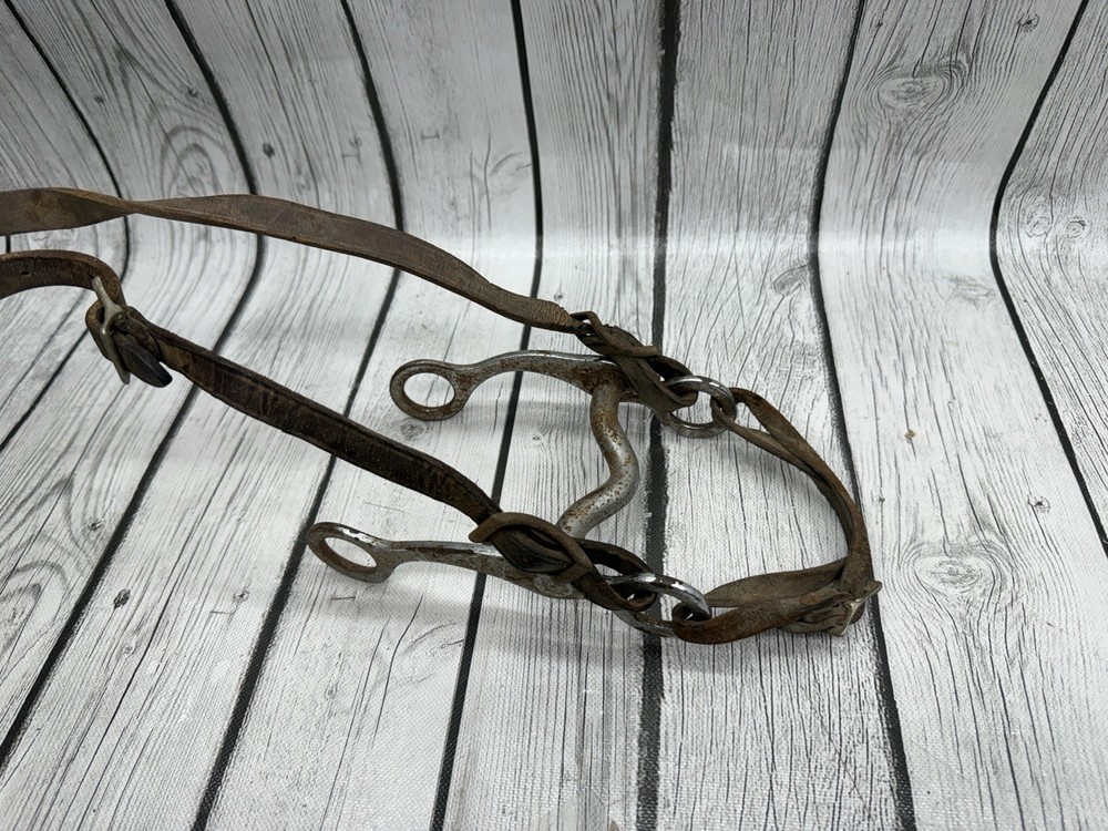 Vintage House Mouth Bit