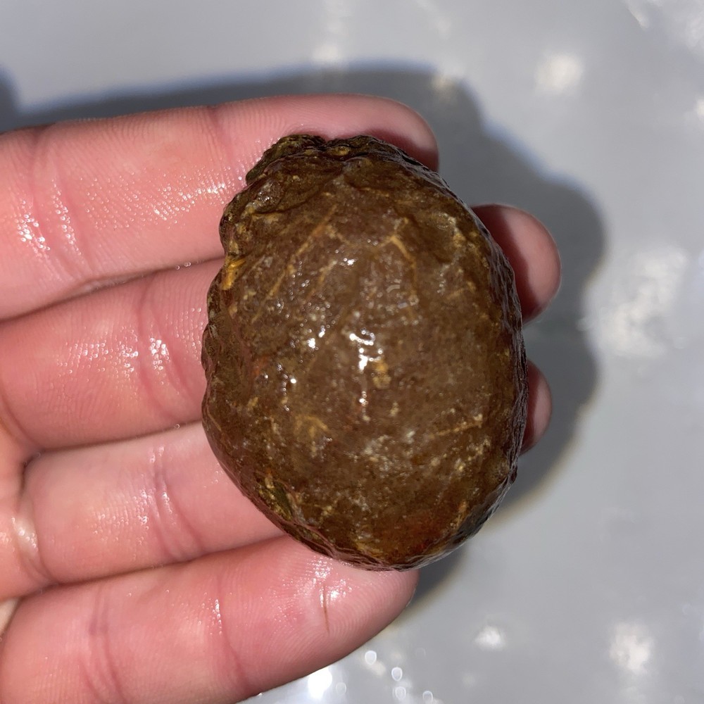 Lapidary Rough Agate Half Unpolished 2.09 Oz