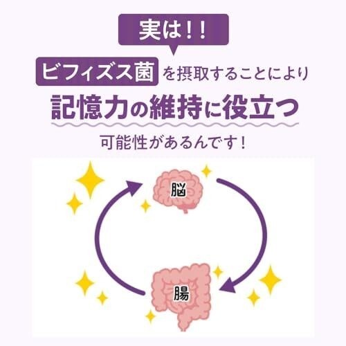 Morinaga Memory Support Supplement 60 Capsules with Bifidobacterium Formula