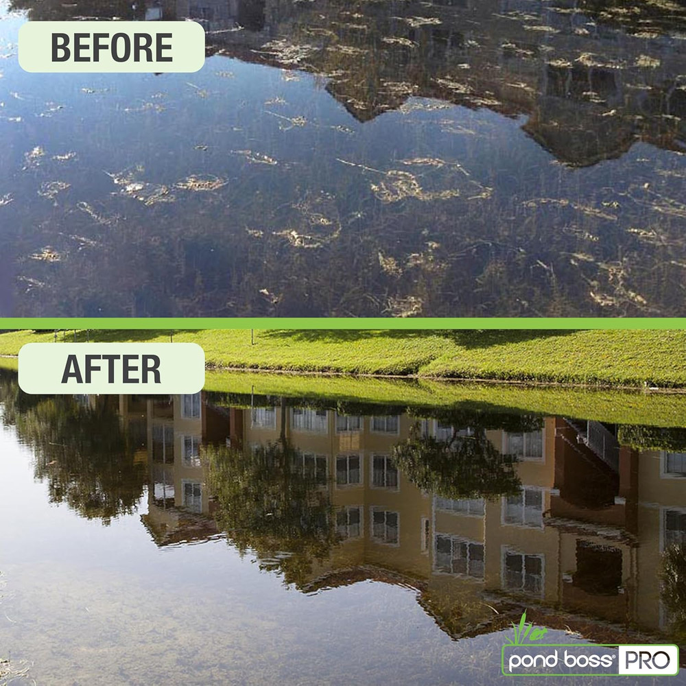 Pond BOSS CBBPR5 Pro Block Bacteria, 5-Pound