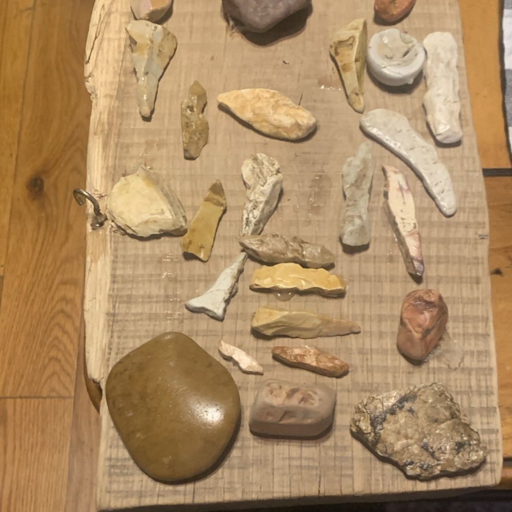 Assorted Natural Rocks and Minerals Collection Specimens Lot Displayed on Board