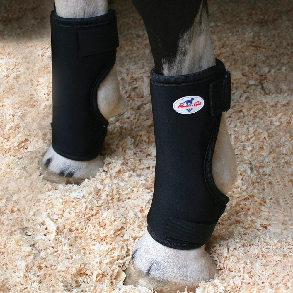 Professionals Choice Equine Bed Sore Boot Front Leg, Pair (Universal Size,