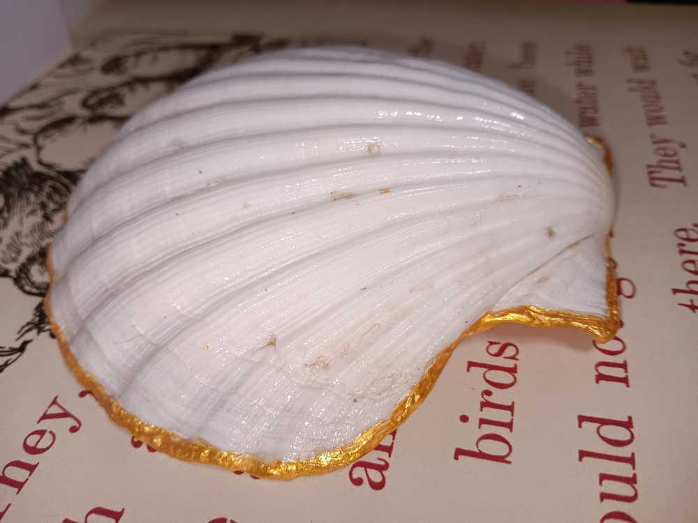 Handmade Shell Trinket Dish With Cardinal And Flowers