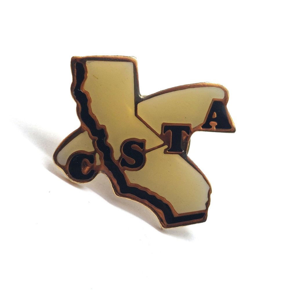 California Science Teachers Association CSTA Education Support Pin Vintage
