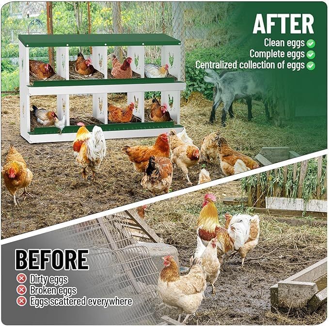 8 Holes Chicken Nesting Box Coop Egg Laying Box with Roll Out Egg Collection US
