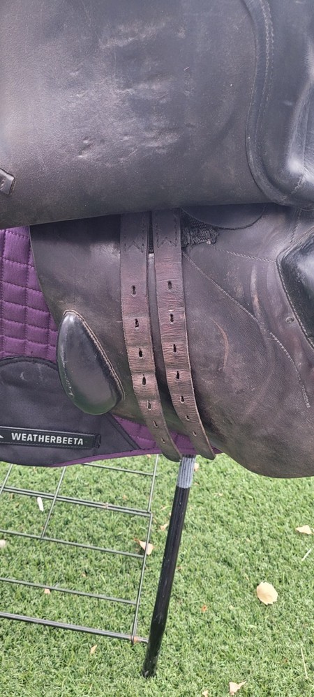 Prestige Jump Saddle, Medium