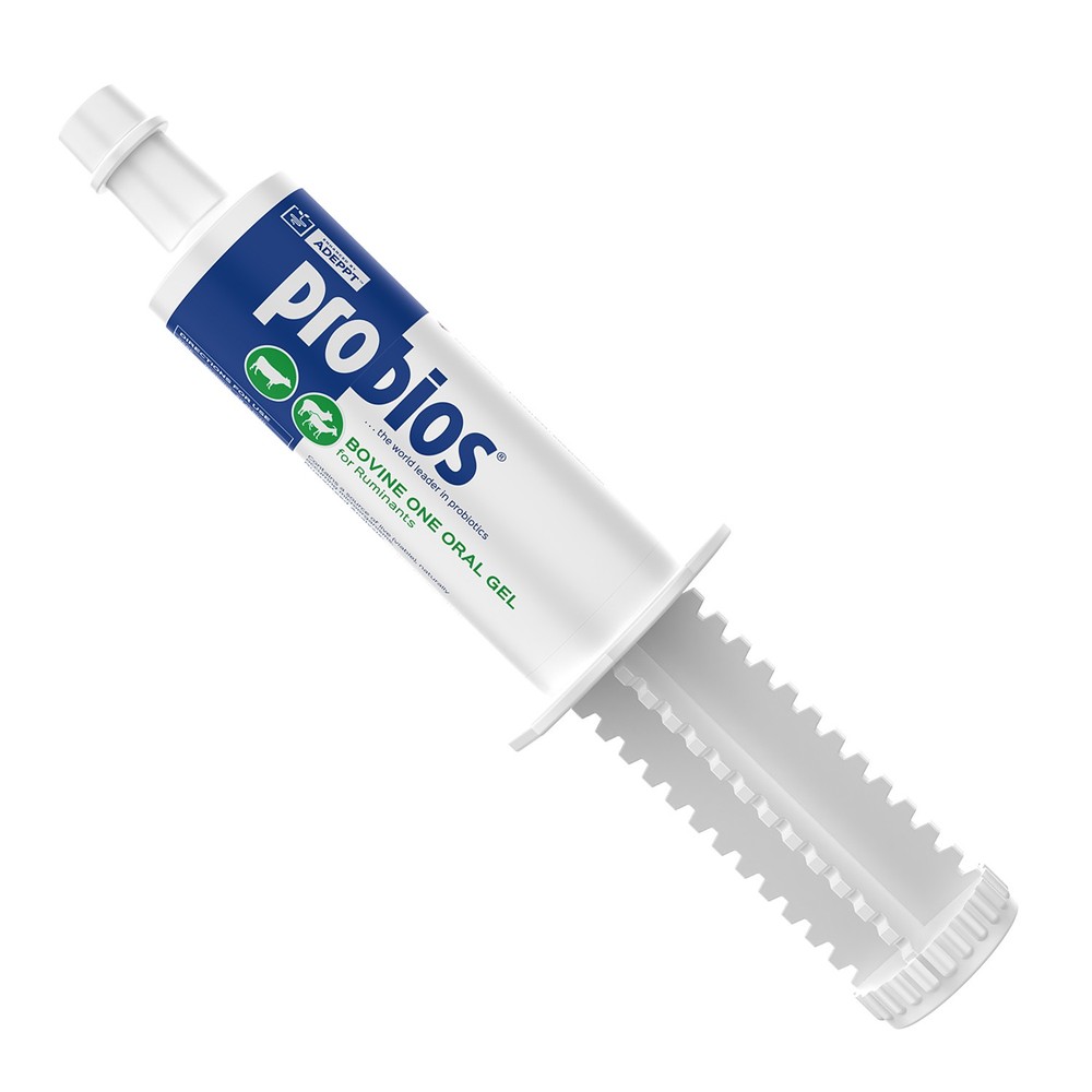 Probios Bovine 60gm