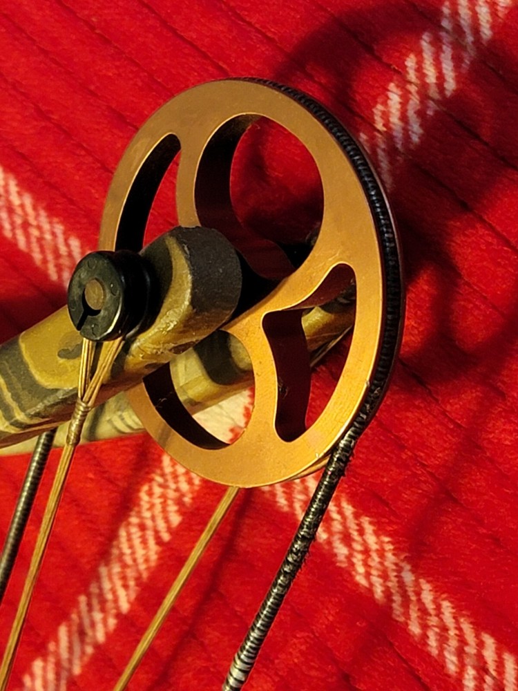 Fred Bear Code Compound Bow + Arrows and Case + QUICK shot Minty