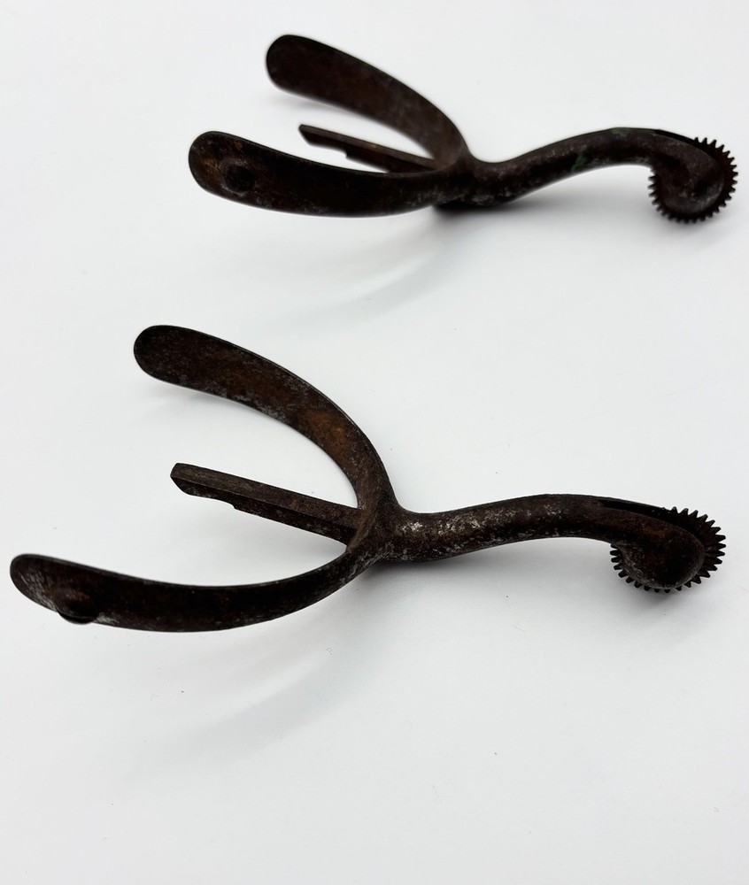 Swan Neck Spurs