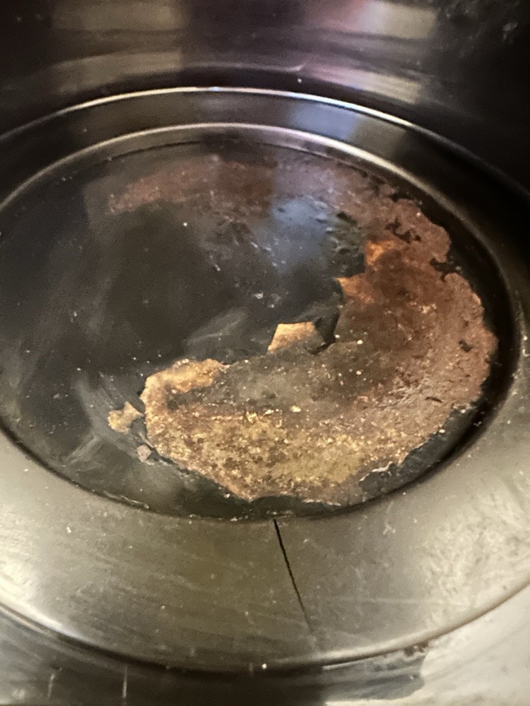 Braun 12 Cup Programmable BrewSense Drip Coffee Machine Stainless/White TESTED