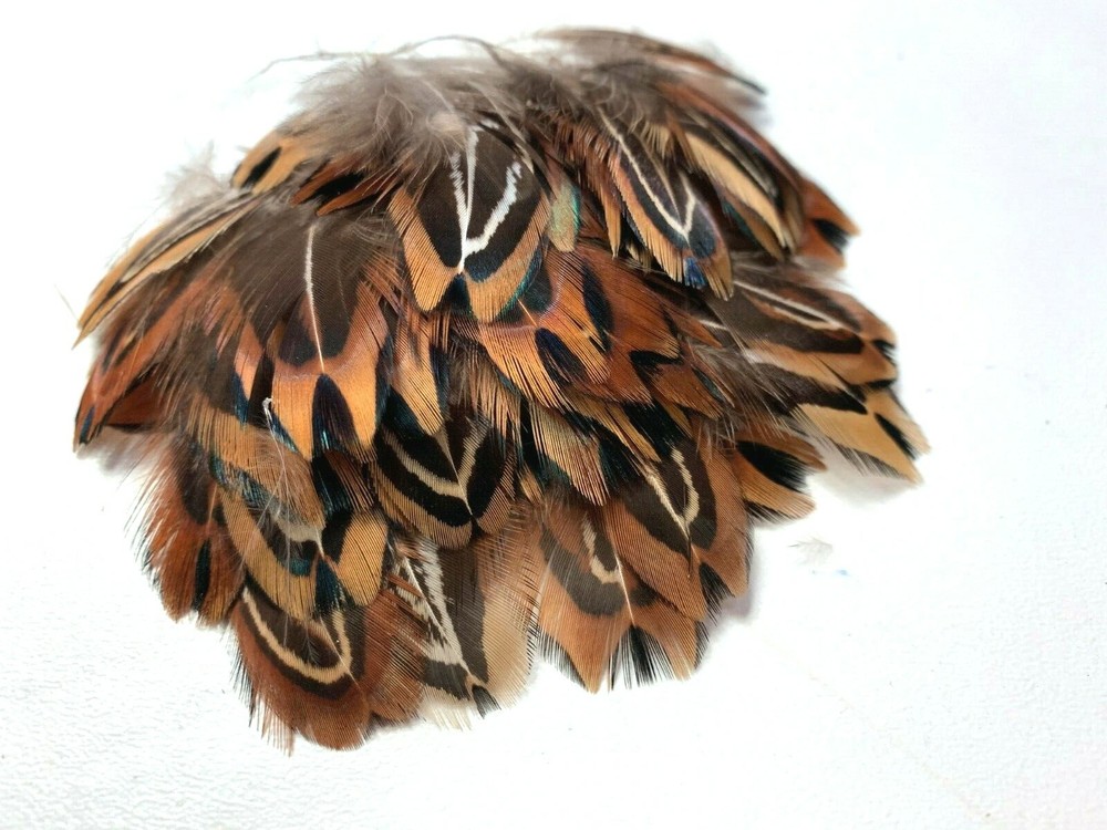 50pcs Natural 3-4cm Real Pheasant Plumage Feathers DIY Craft Boho Bulk Macrame