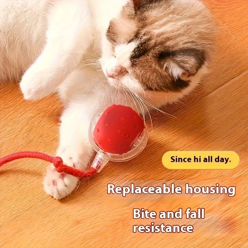 Automatic 360° Rolling Pet Ball - Grinding and Soothing Function,