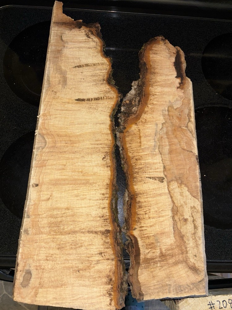 Curly Maple Slabs - 2 Pc Craft Bundle #2085
