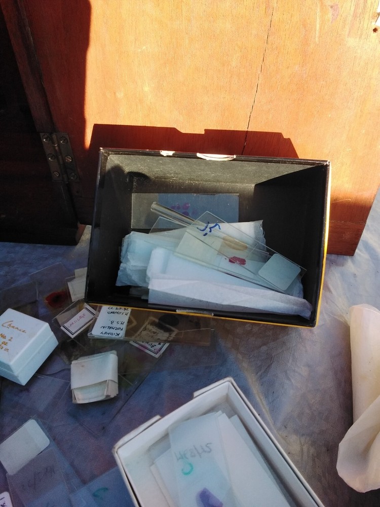 MICROSCOPE WATSON & SONS SERVICE MICROSCOPE AND CASE AND GLASS SLIDES