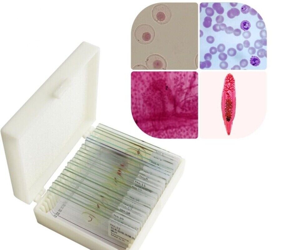 Parasites Microscope Specimen Slides for Parasitology Teaching Research 25pcs