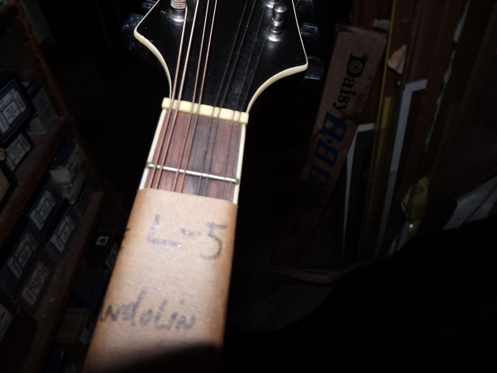 Rogue RM-100A A-Style Mandolin - Black