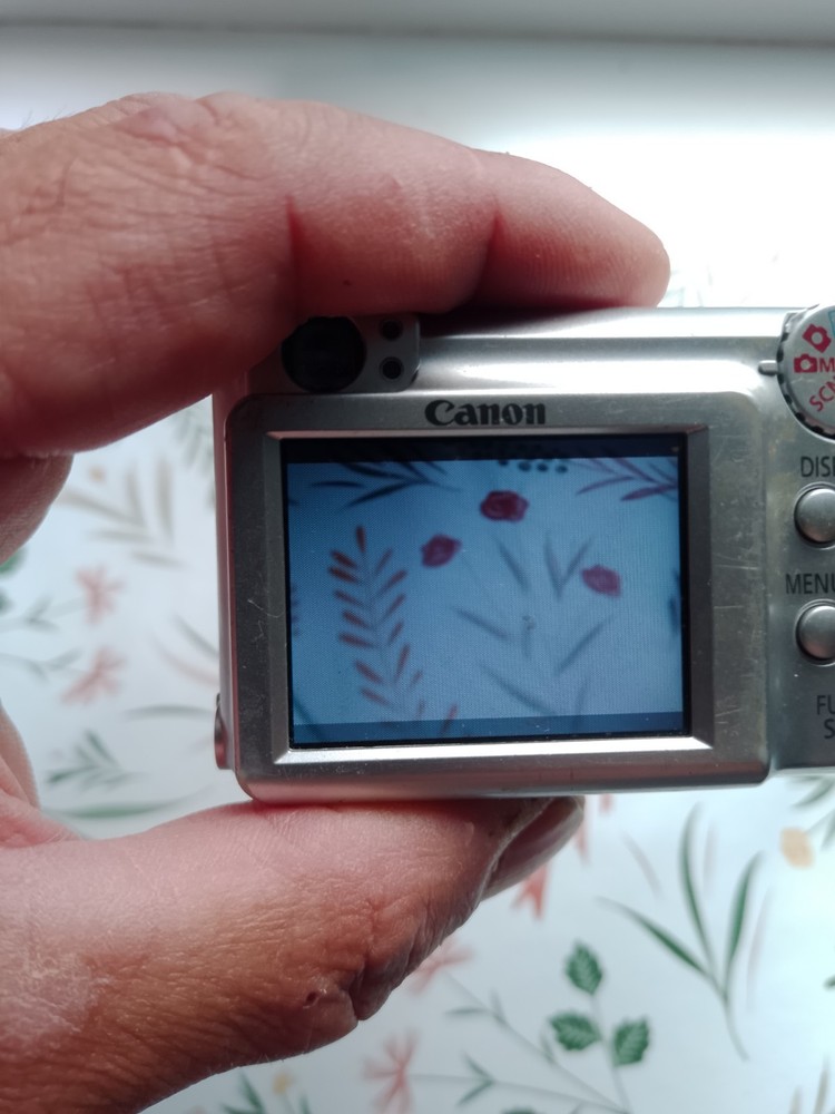 camera canon power shot A460