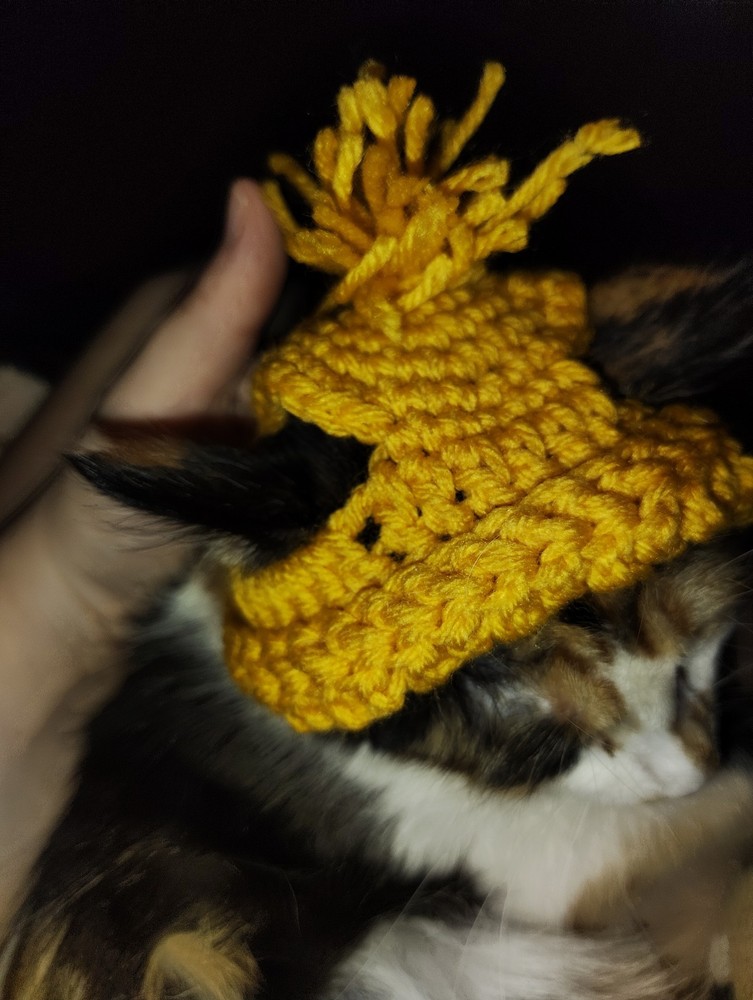 Crochet Cat Boggins