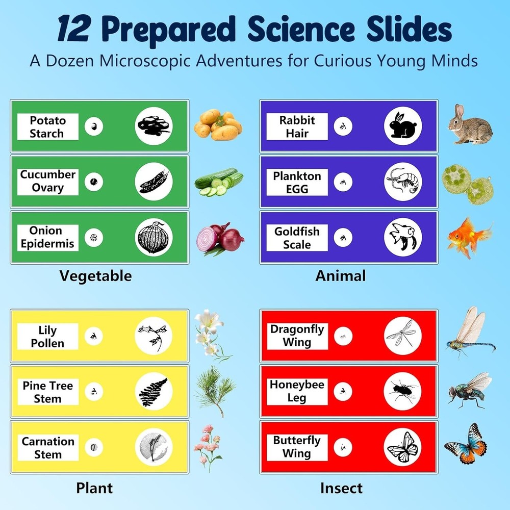 Plastic Handheld Microscope for Kids with 4K Screen and 12 Slides Educational