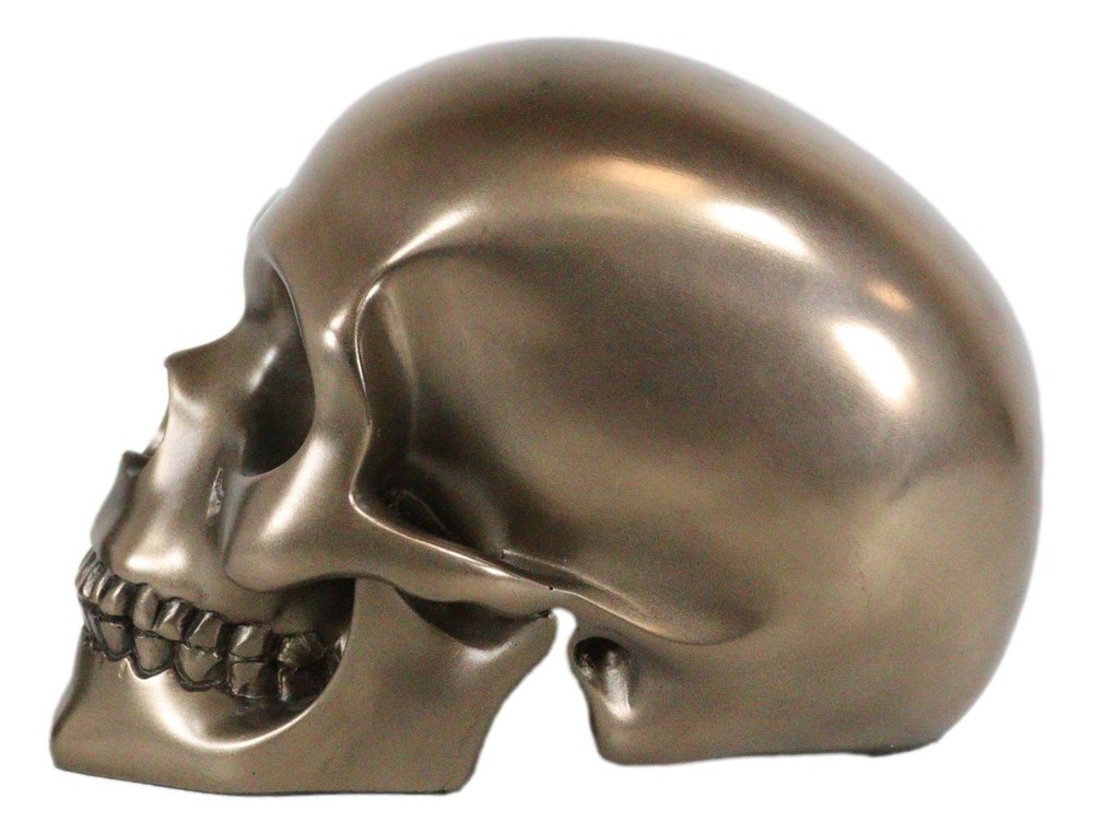 Decorative Bronze Colored Skull Head Skeleton Figurine Statue