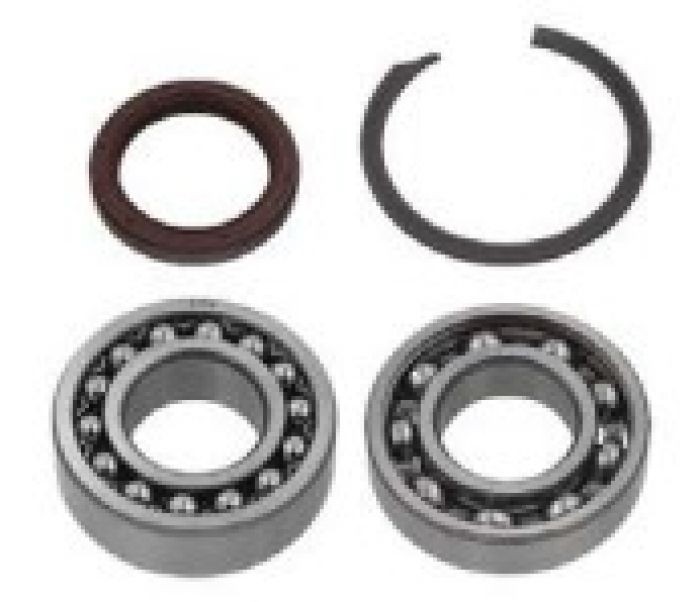 SPI Chaincase Bearing Kit - SM-03213