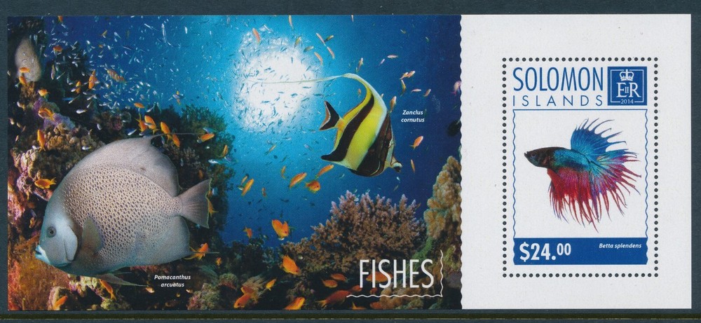 2014 SOLOMON ISLANDS FISH MINI SHEET ($24) FINE MINT MNH