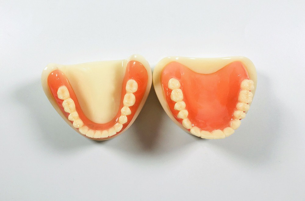 Dental Full Denture Model Magnetic Attachment Mandibular Upper/Lower Study