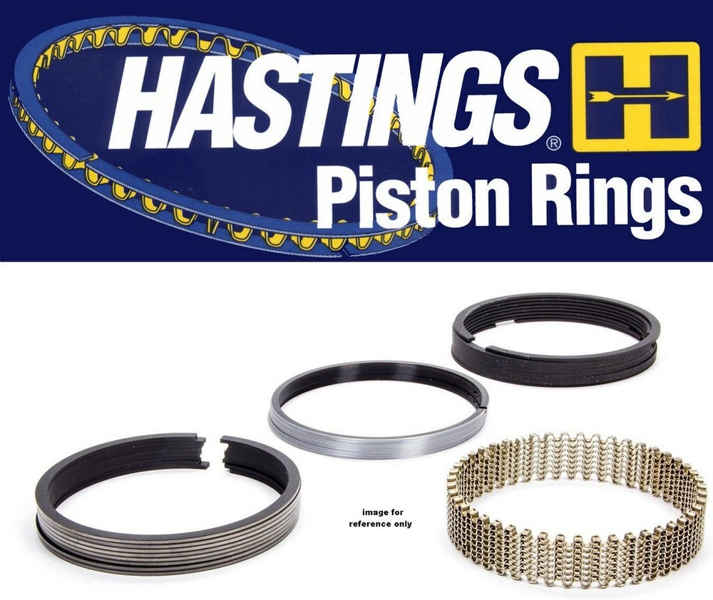Piston Rings   Hastings Manufacturing   2M683100
