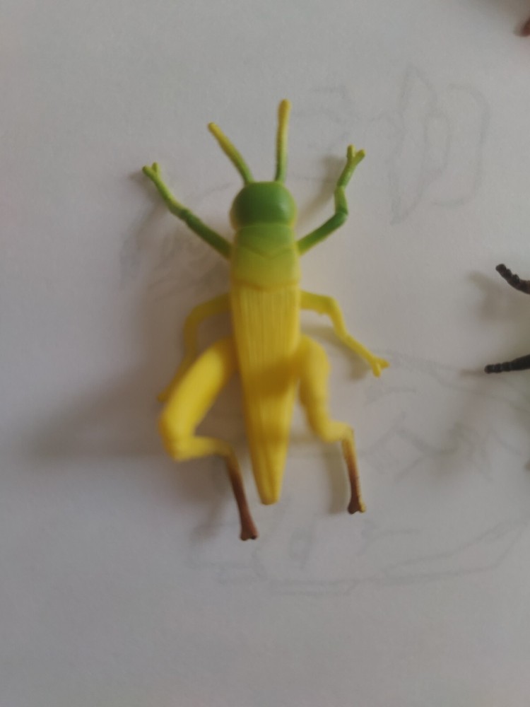 Insect plastic bug lot & Black Scorpion