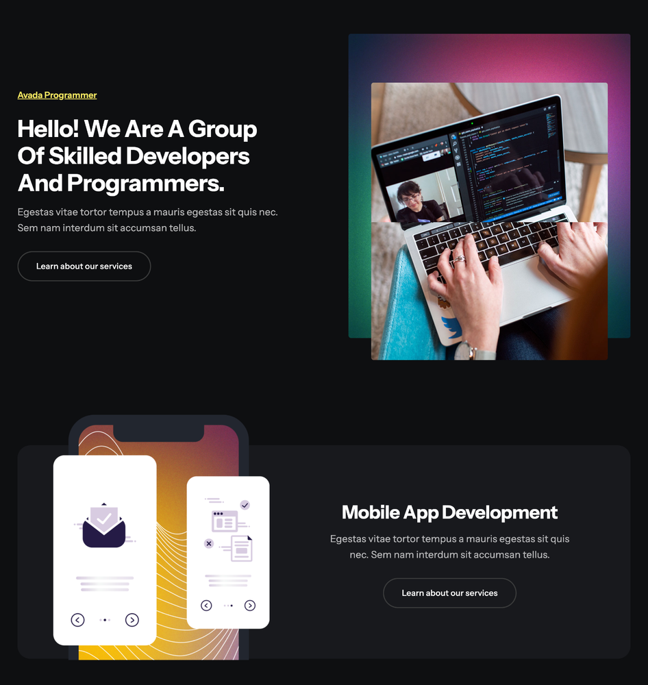 Programmer Website Design with Free VPS Web Hosting and Installation