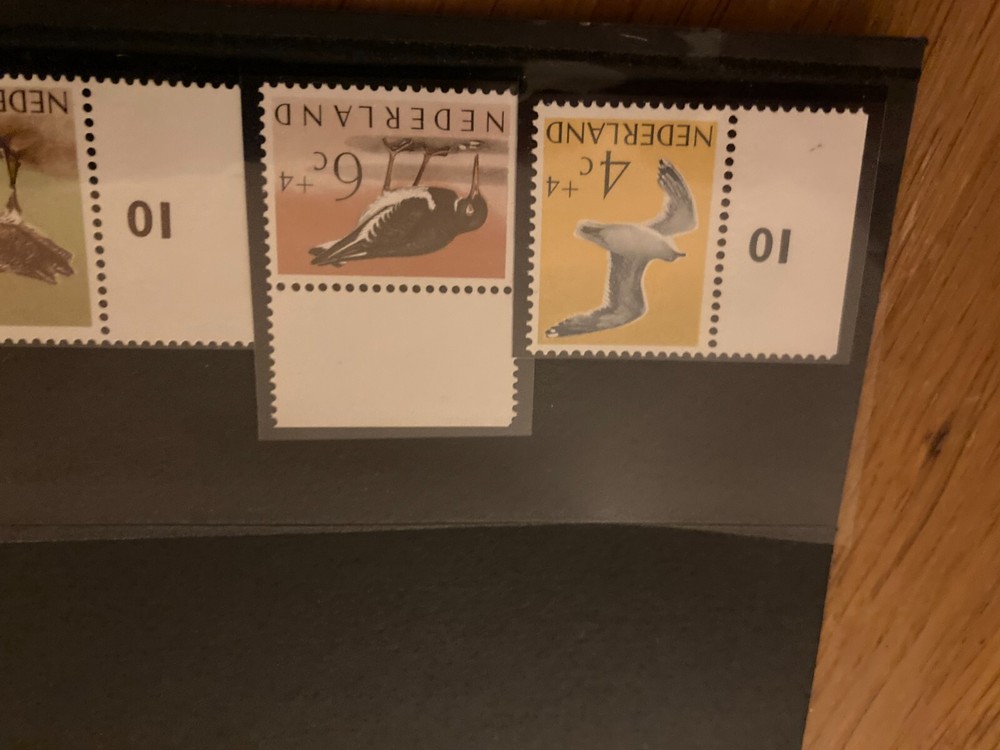 Netherlands bird stamps set 1950's mnh all with tabs, pristine
