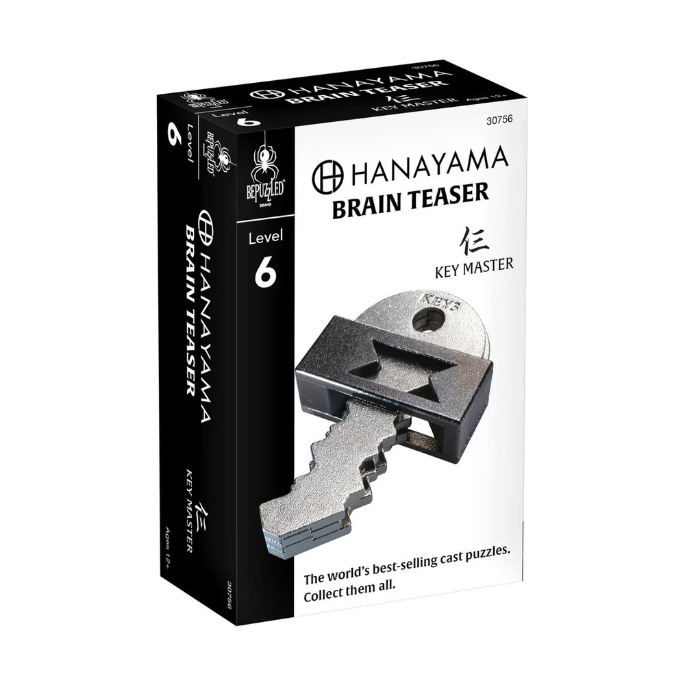 BePuzzled Hanayama Level 6 Cast Puzzle - Key Master