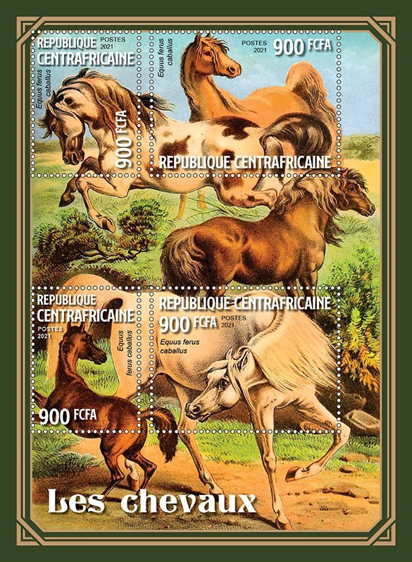 Horses