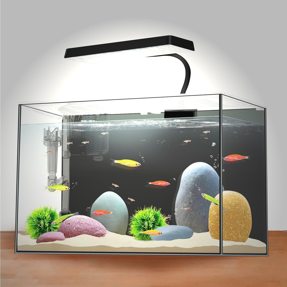 Multi-Functional 3 Gallon Rectangular Aquarium with LED Light & Betta Separator