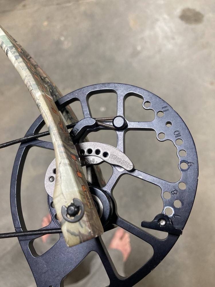 Bear Anarchy HC 50-60