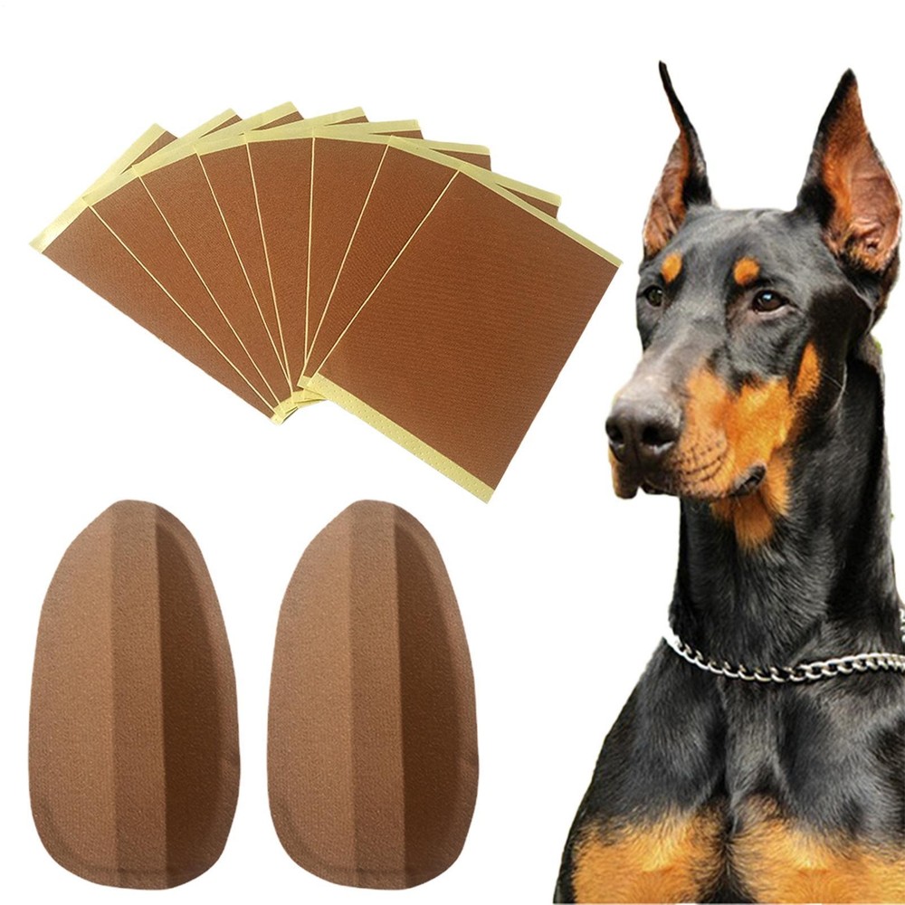Dog Ear Stand Up Support Fixed Doberman Dog Ear Posting Kit Dog Ear FixedSupport