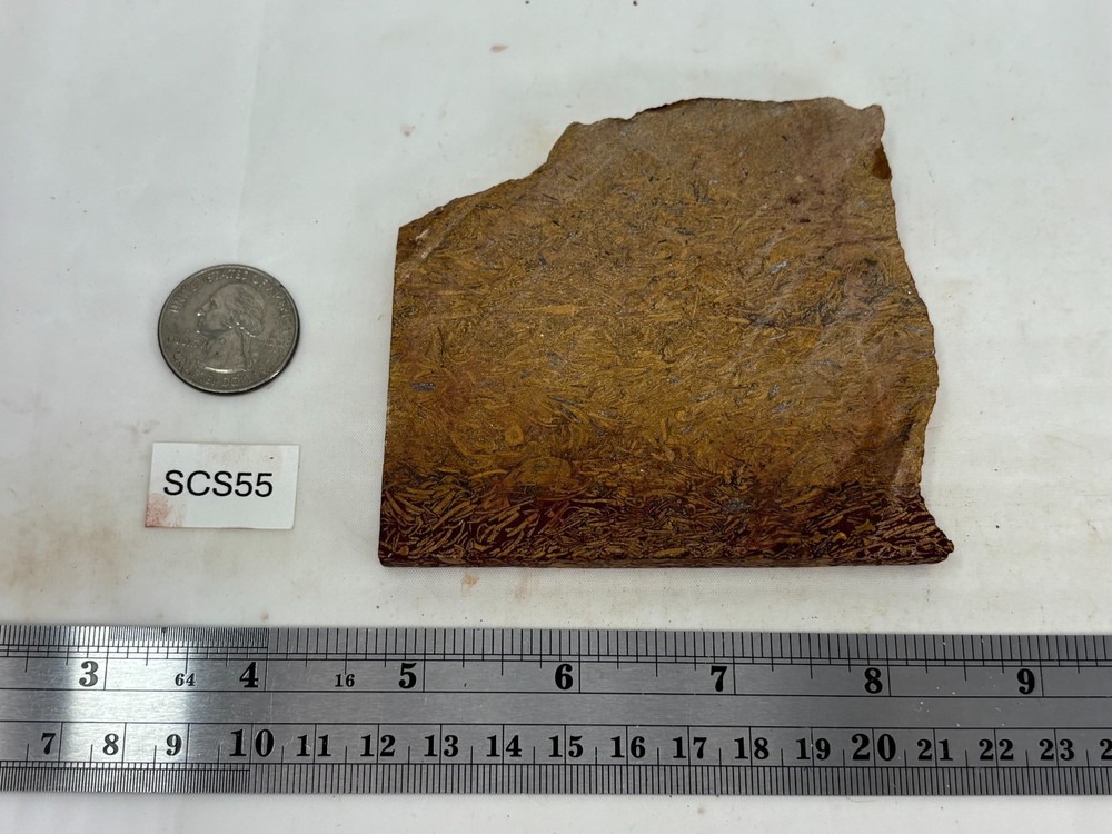 Script Stone Jasper Slab Cabbing Lapidary Collecting Combo Ship Avail