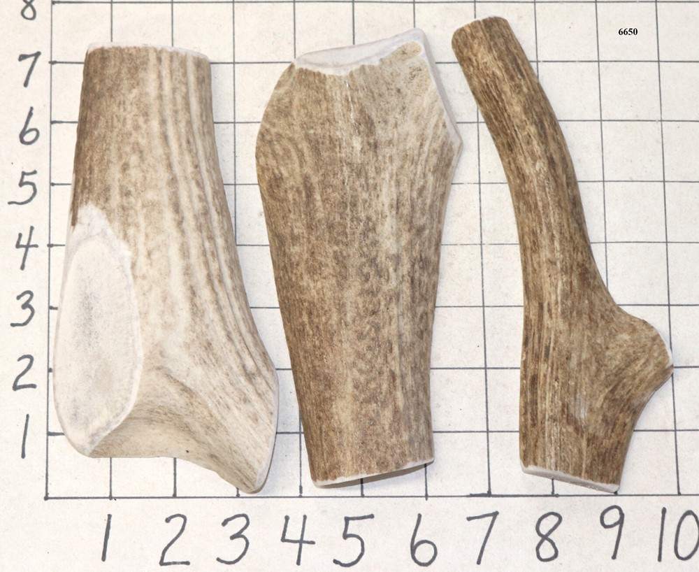 3 Split Elk Antler Dog Chew Treats