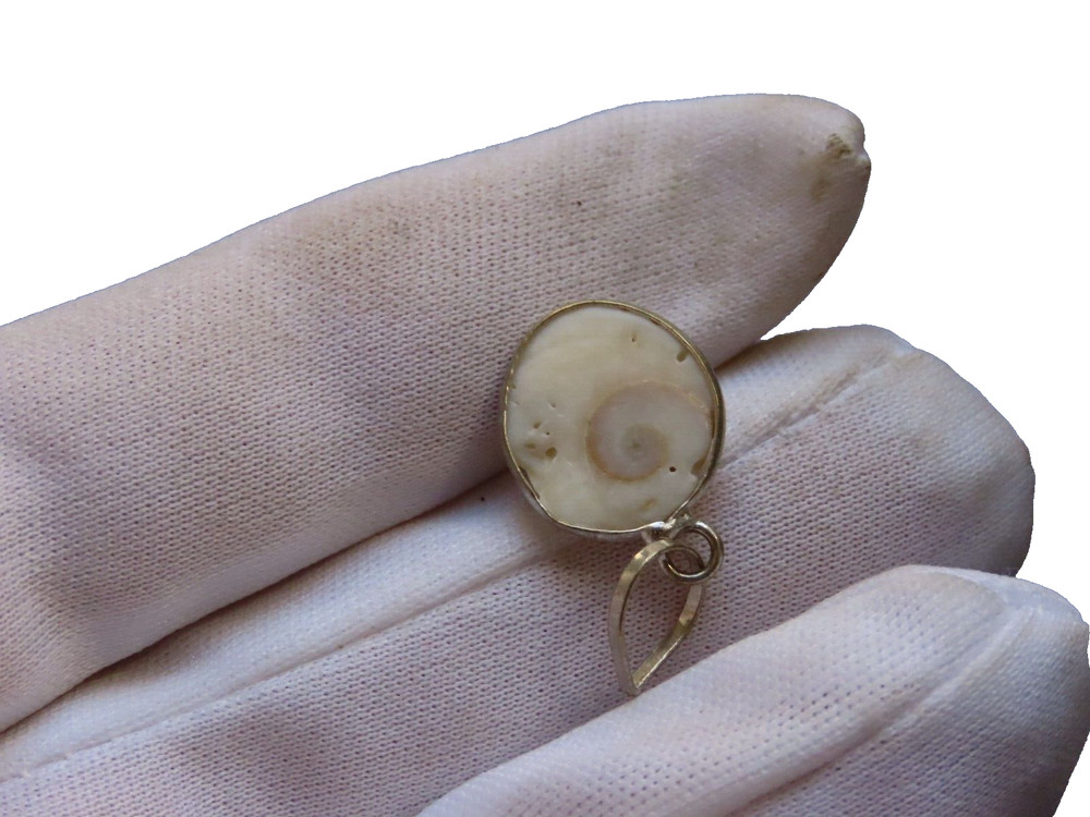 Snail Fossil Pendant